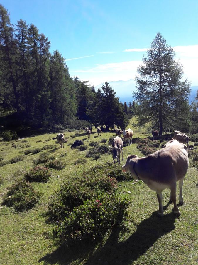 Berghotel Schlickeralm 1.616 M Fulpmes Εξωτερικό φωτογραφία